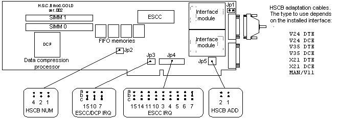 Hscb gold