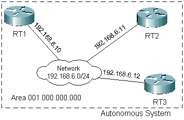 Non broadcast multiaccess network